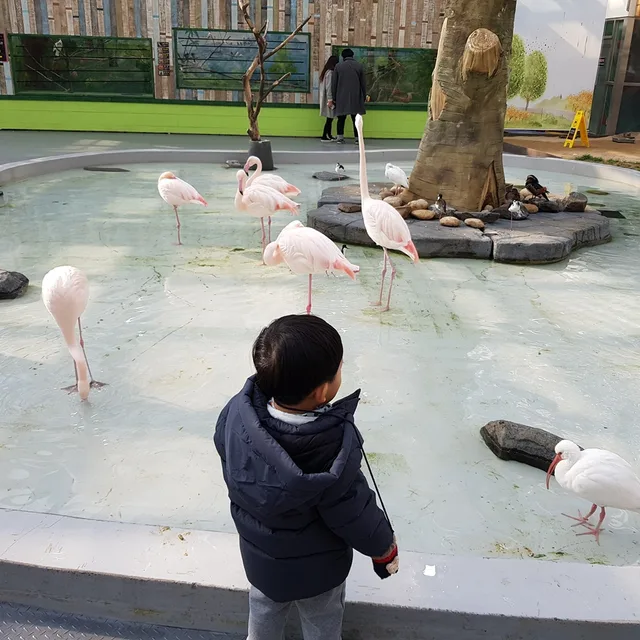 시완아빠