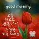 씨크릿