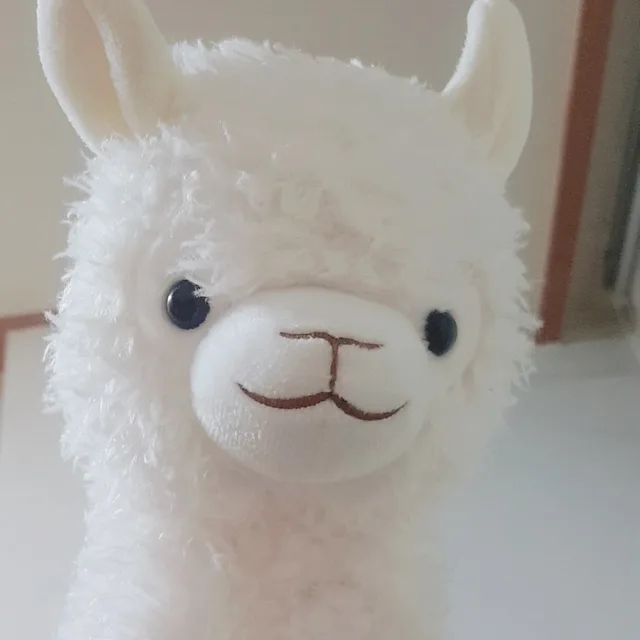 알파카파카