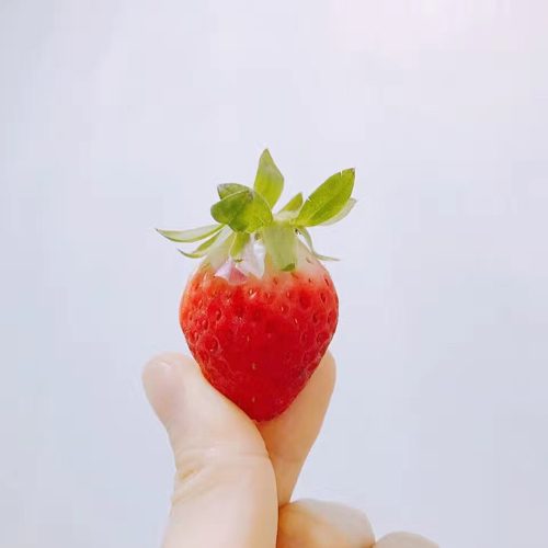김또