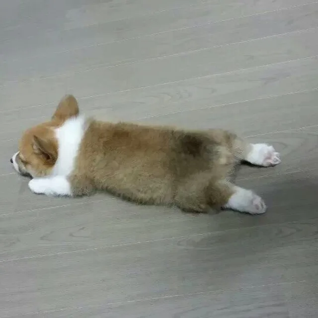 고구미