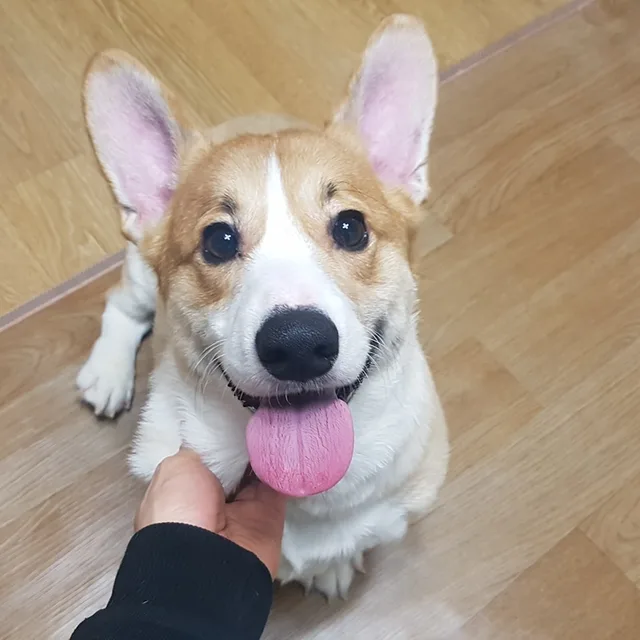 미니멀라이프