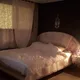 살찐신지