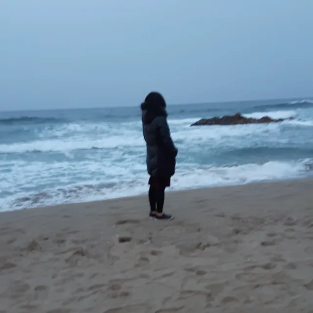 코스모스