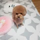 정민우