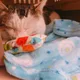흰둥이