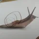 달팽이