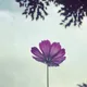 달밤