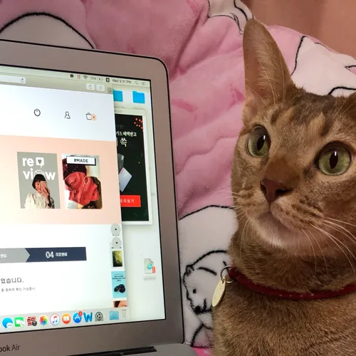 무탈밍리