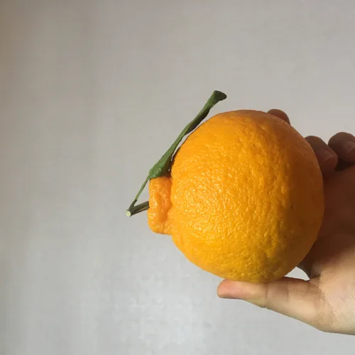 이든8시22시연락가능