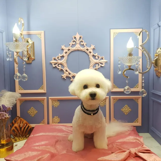 봄이맘