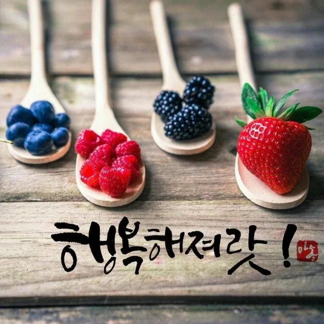 젊은태양