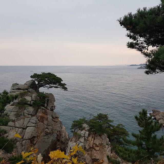 해아래다인