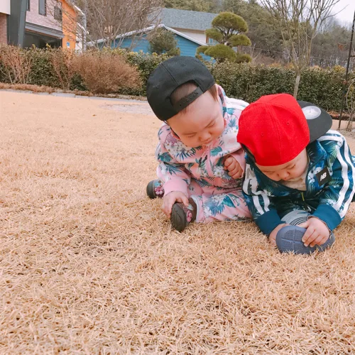 또깔라비띠