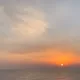 치즈맹고