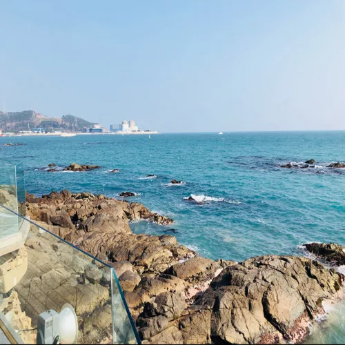 짝짝짝