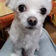 당근사랑맘