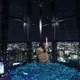팬지