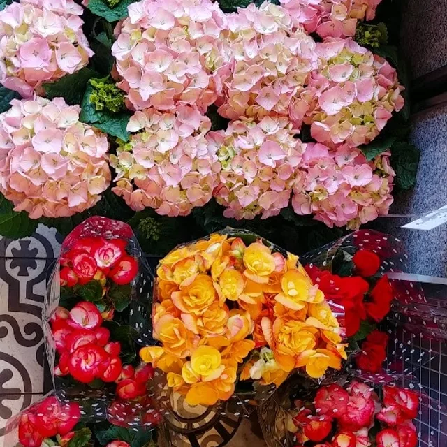 빵이