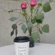 헬레나