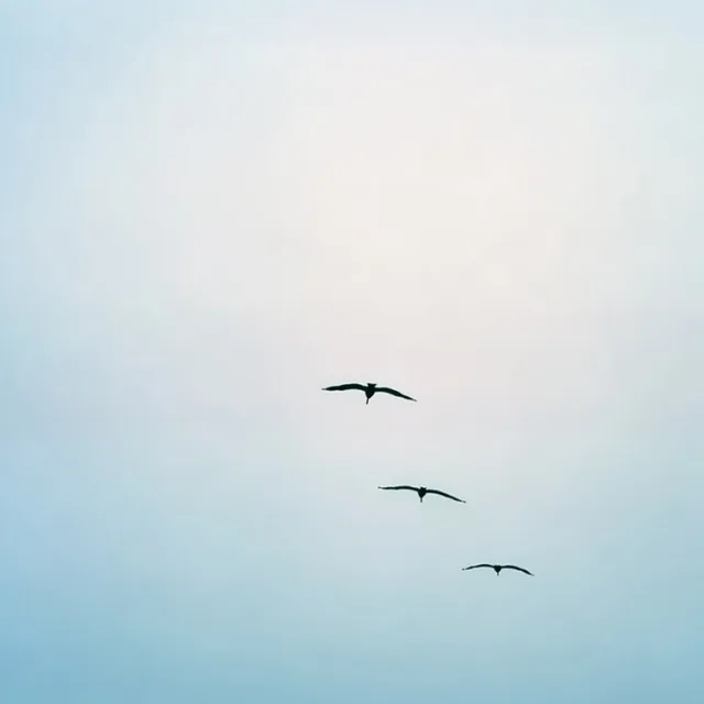 BlueSky
