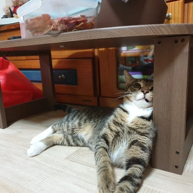 하늘짝꿍