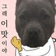 거파훠이훠이