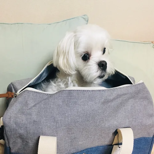 겸둥맘