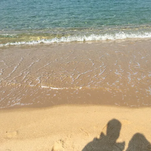 후후훗