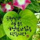 후니맘