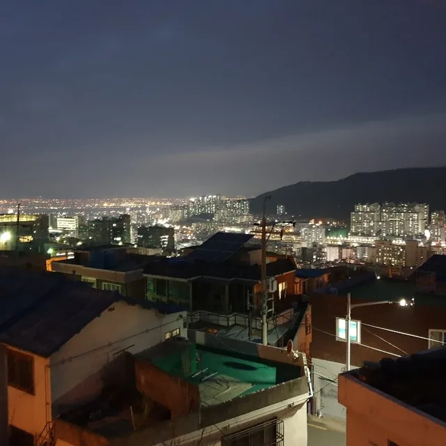 프리템포
