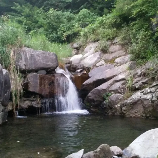 이레네