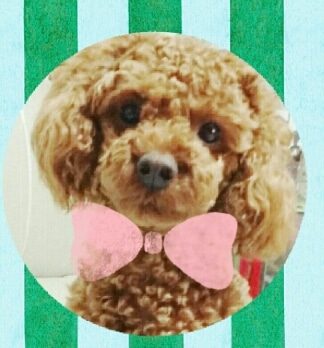 땡이