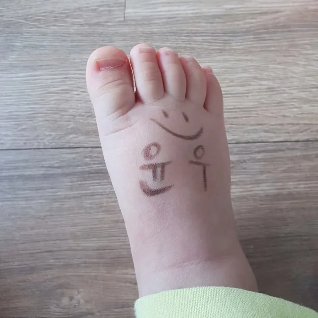 앵두