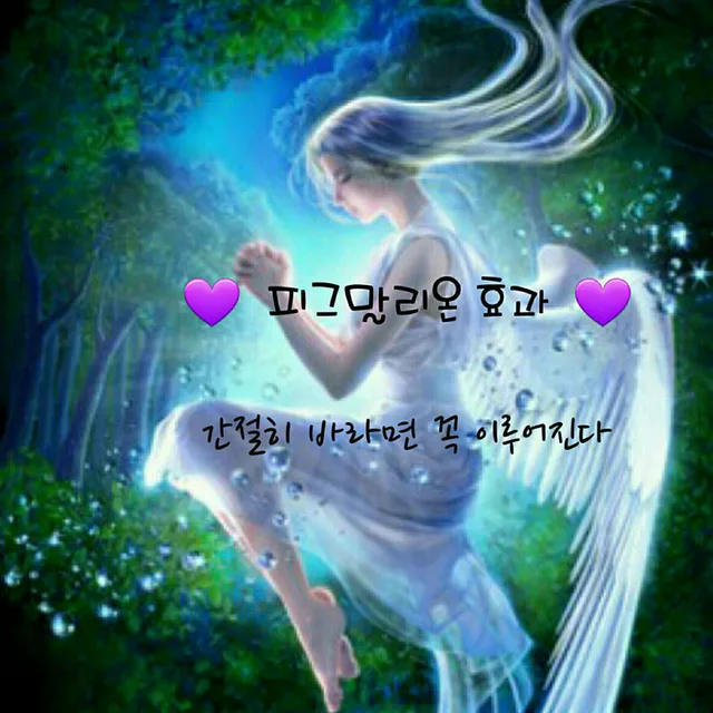 초이스