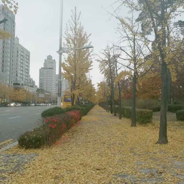 모앙