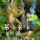 찌비맘