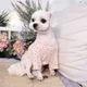 달이별이