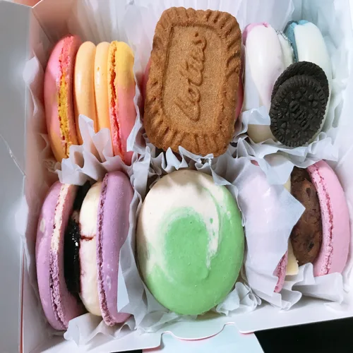 도리도리