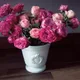 아라아라
