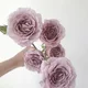 레하