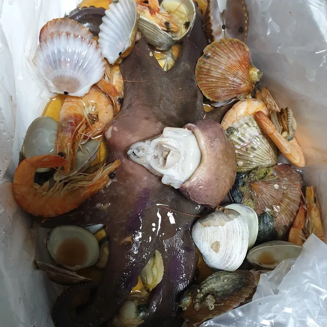 하준마미