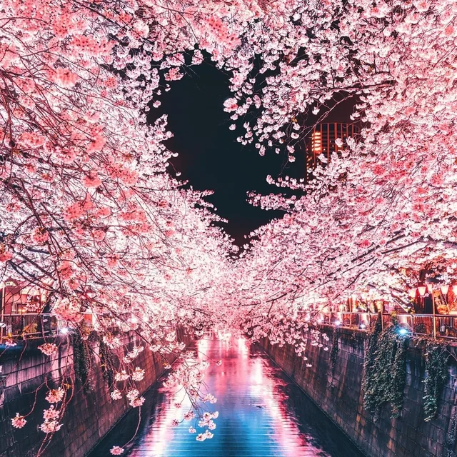 새콤달콤