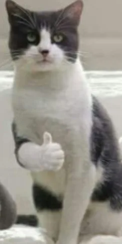 기메