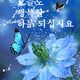 동글이