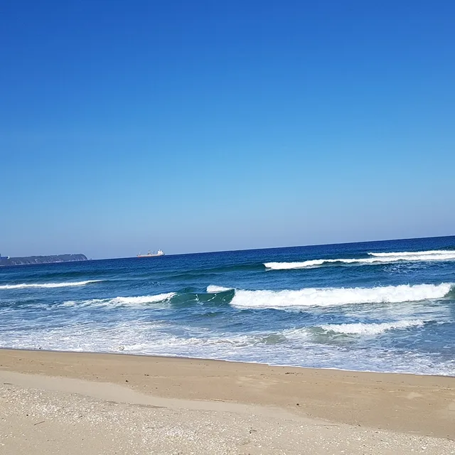 즐거운