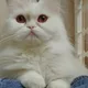 가족