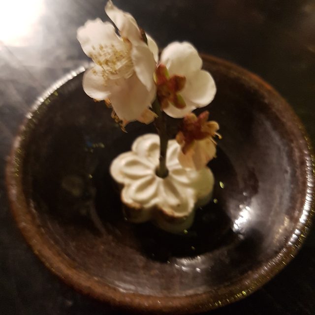 쇼군