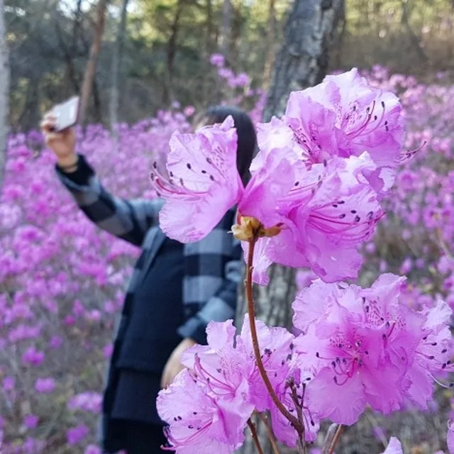 놀자