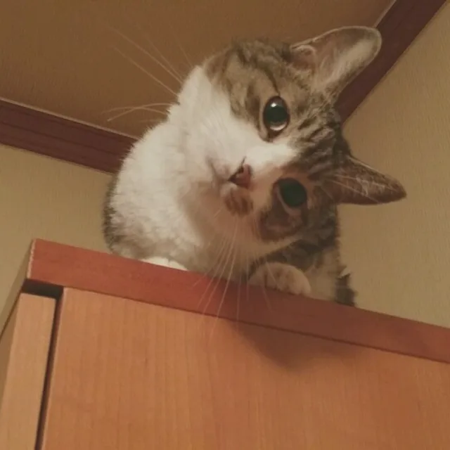 안녕하세요